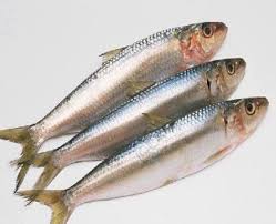 Sardine Cleaned (മത്തി /ചാള ) 1 kg